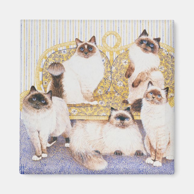 Imã Cremes de chocolate (Frente)