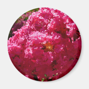 Imã Crepe Myrtle Magenta Floral