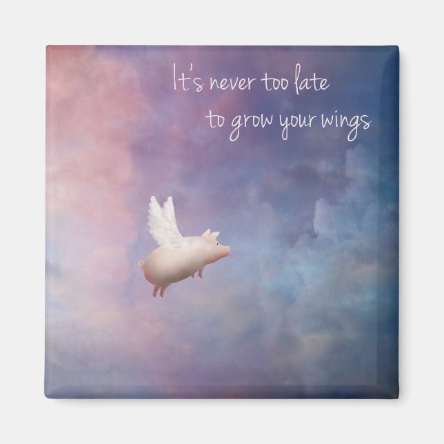 Imã cresça suas asas (Frente)