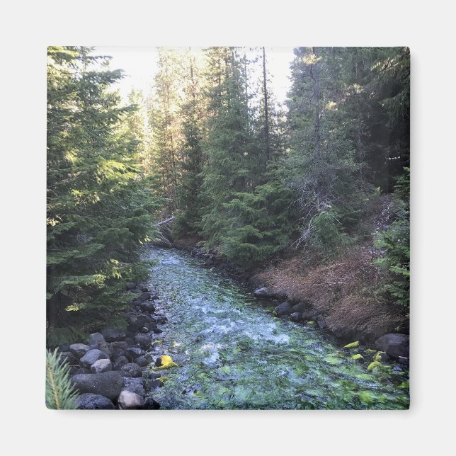 Imã Crescent Creek, Oregon (Frente)