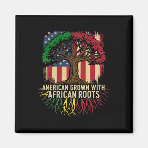 Imã Crescido Americano Bandeira Africana Usa Mês da Hi
