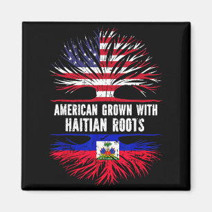 Imã Crescido Americano Com Raízes Haitianas Bandeira D