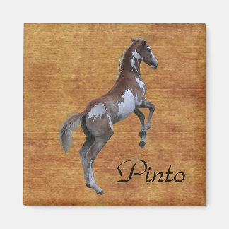 Imã Criação do Presente de Amante do Cavalo de Pinto P