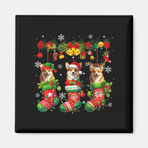 Imã Criança Proprietária Do Dentro Xmas, Meias, De Trê
