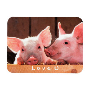 Ímã Criar seu próprio amor engraçado da foto você