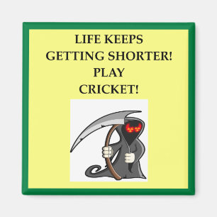 IMÃ CRICKET