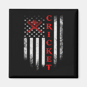 Imã Cricket Vintage EUA Bandeira Americana Críquete Pa