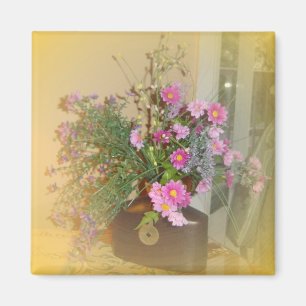 IMÃ CRIE A SUA FOTO