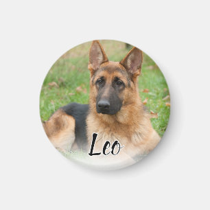 Imã Crie o Nome da Foto do Seu Animal de Estimação Per