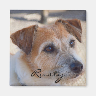 Imã Crie seu próprio ímã fotográfico