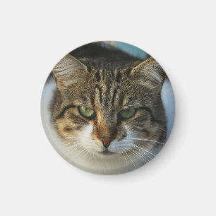 Imã Crie Seu Próprio Presente de Foto Personalizada do