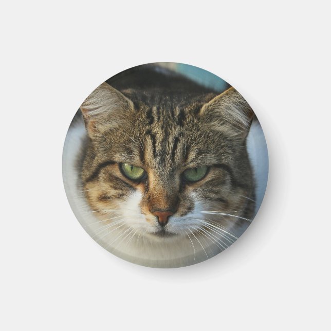 Imã Crie Seu Próprio Presente de Foto Personalizada do (Frente)