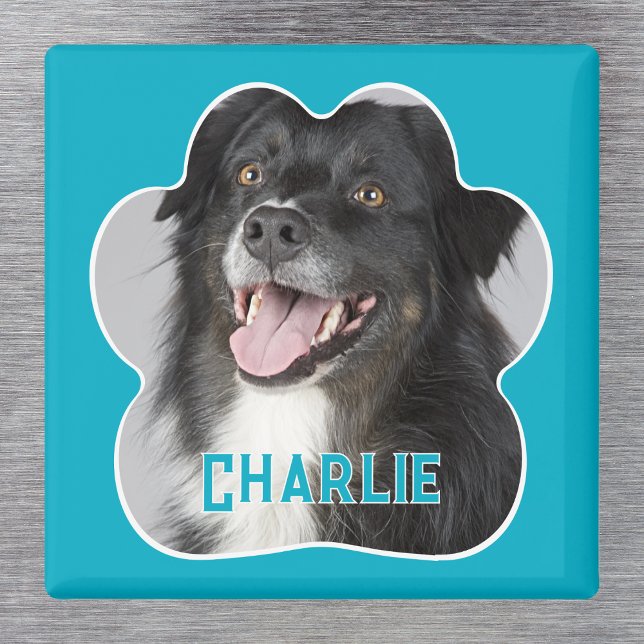 Imã Crie Sua Própria Foto De Cão De Pet (Dog Photo Magnet. Create your own personalized paw print design complete with name. )
