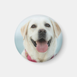 Imã Crie sua própria foto personalizada de animal de e