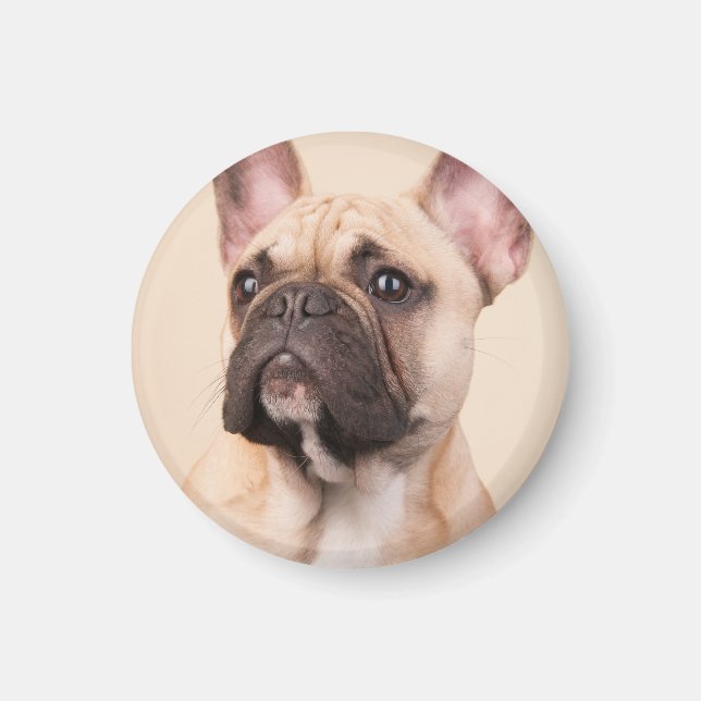 Imã Crie Sua Própria Foto Personalizada de Animal de E (Frente)