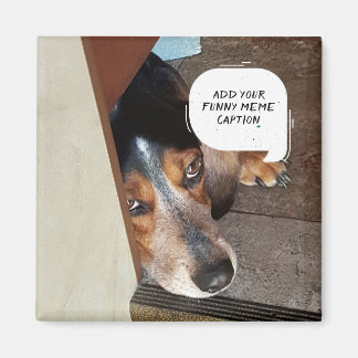 Imã Crie Sua Própria Foto Personalizada Engraçada