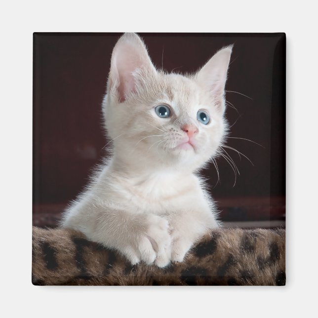 Imã Cristóvão Branco Vulnerável (Frente)