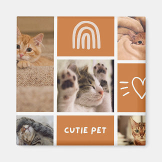Imã Critério De Encaixe: Escolha Sua Pet Plush Perfeit