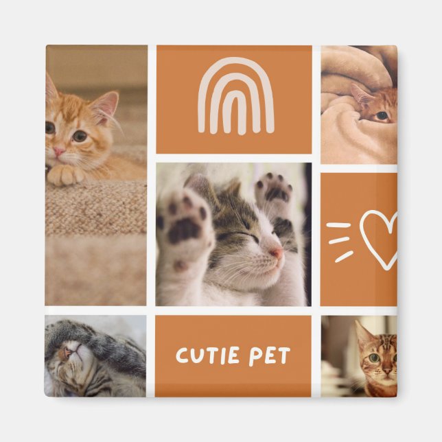 Imã Critério De Encaixe: Escolha Sua Pet Plush Perfeit (Frente)