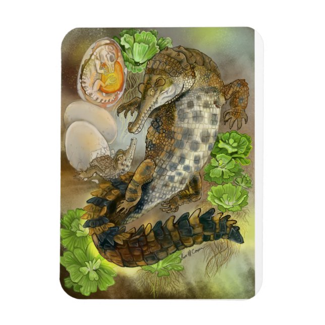 Ímã Crocodilo Entalhado (Vertical)