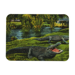 Ímã Crocodilos Antigos, Répteis de Vida Marinha Animai