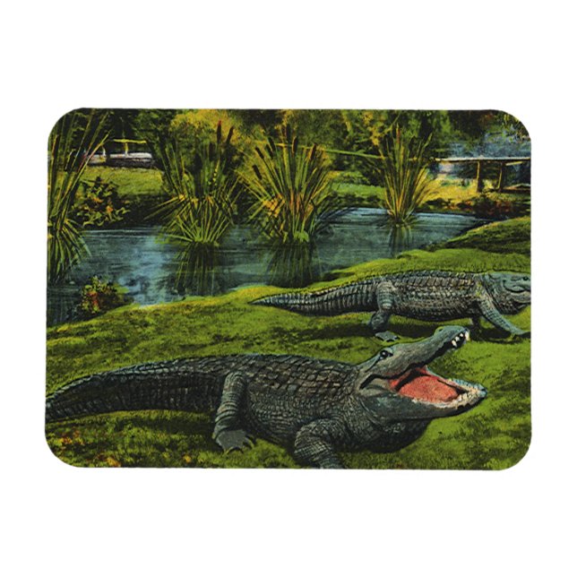 Ímã Crocodilos Antigos, Répteis de Vida Marinha Animai (Horizontal)