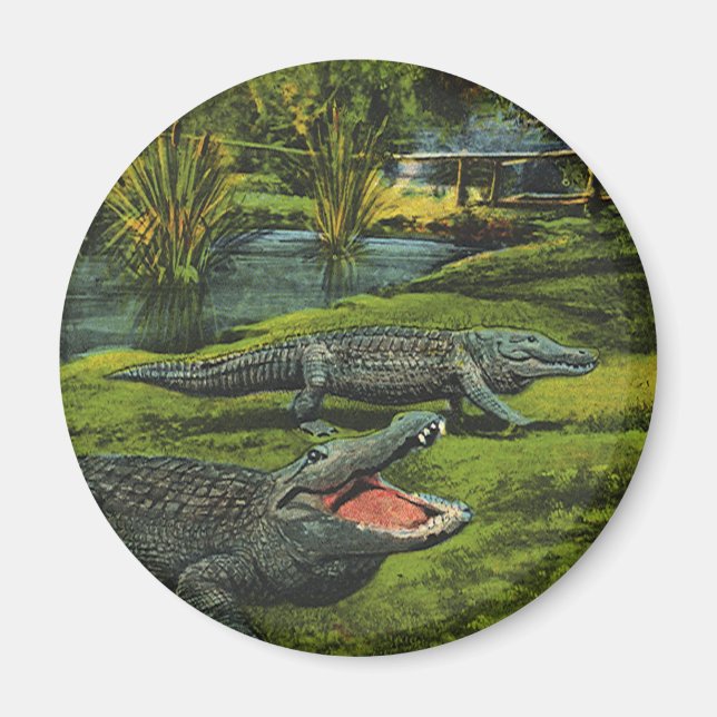 Imã Crocodilos Vintage, Animais da Marinha Répteis (Frente)