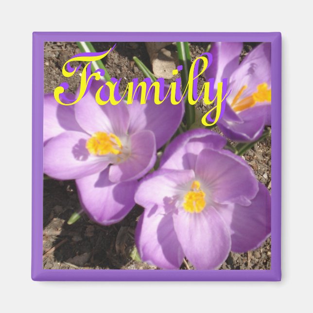 Imã crocusfamilymagnet (Frente)