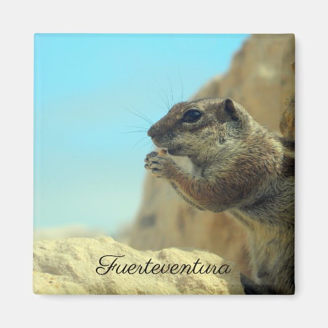 Imã Croissant de atlas (Frente)