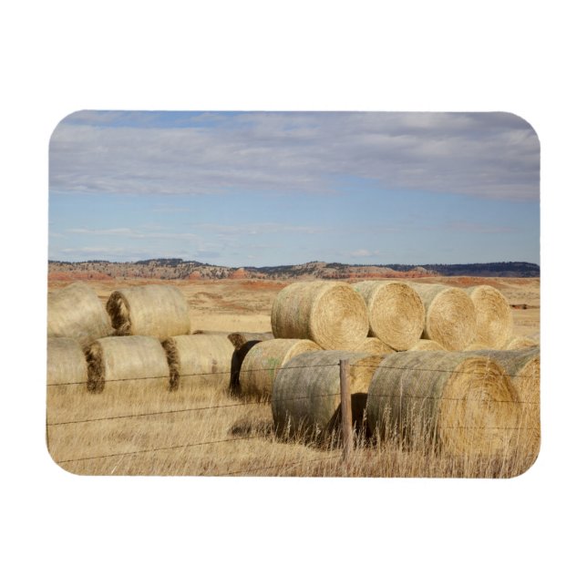 Ímã Crook County, pacotes de feno 2 (Horizontal)