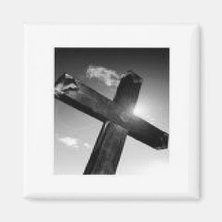 Imã Cross Magnet
