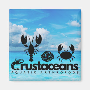 Imã Crustáceos - Artrópodes Aquáticos