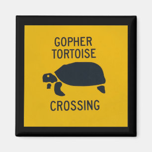 Imã Cruzamento da tartaruga de Gopher