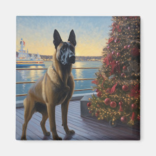 Imã Cruzeiro de Natal com Malinoi Belga: Férias Patas-