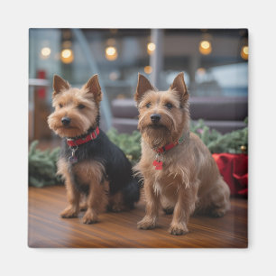Imã Cruzeiro de Natal do Terrier Australiano: Incrível