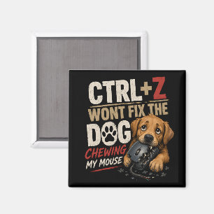 Imã CTRL + Z Não Vai Consertar o Cachorro Roendo Meu M