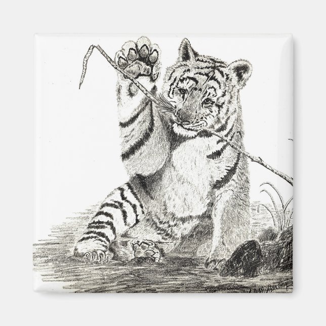 Imã Cubo de tigre tocando ímã (Frente)
