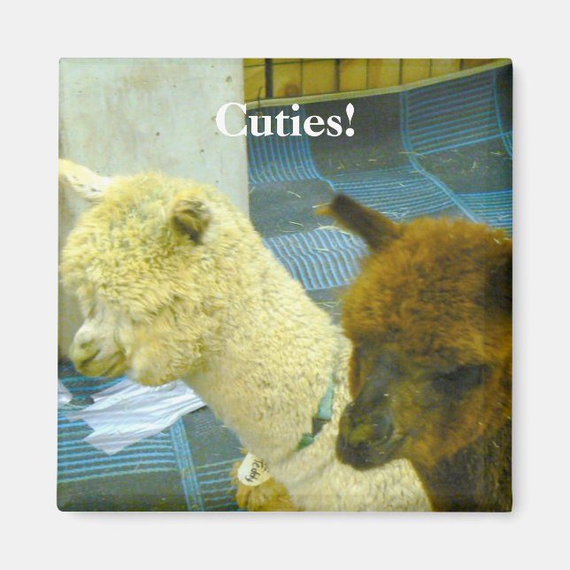 Imã Cuecas! (Frente)