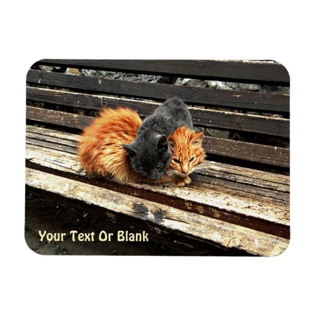 Ímã Cuecas Catnap (Horizontal)