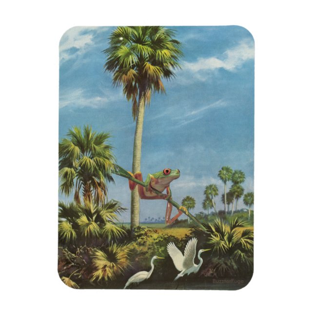 Ímã Cuidado com o sapo - (Vertical)