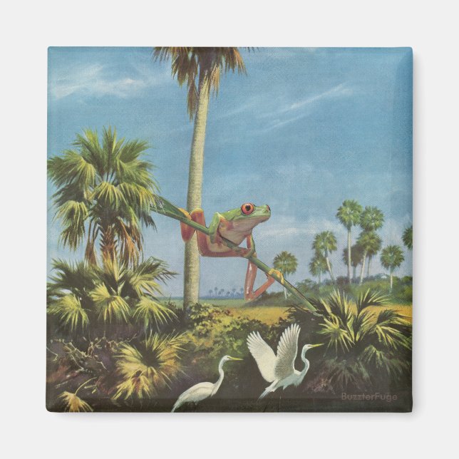 Imã Cuidado com o sapo - (Frente)