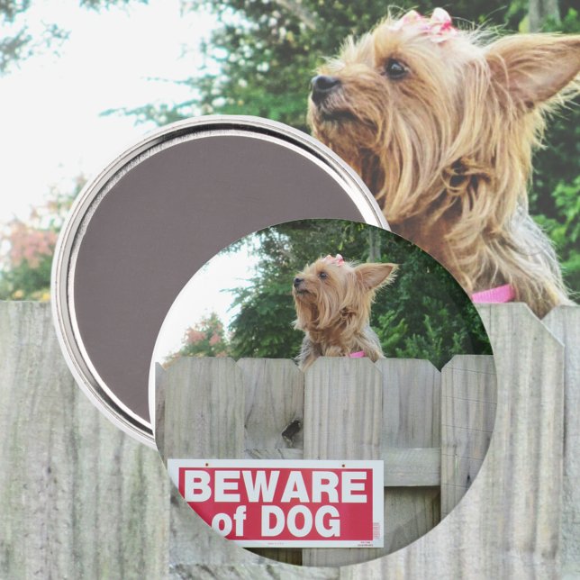 Imã Cuidado com o Testemunho-de-Cute Yorkie (Criador carregado)