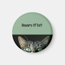 Cuidado Personalizado Do Magneto Verde Gato