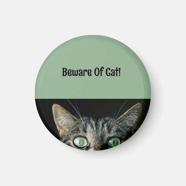 Imã Cuidado Personalizado Do Magneto Verde Gato (Frente)