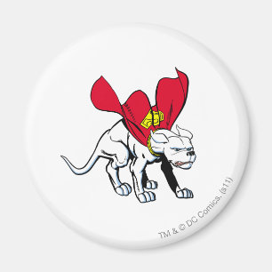 Imã Culturas de Krypto