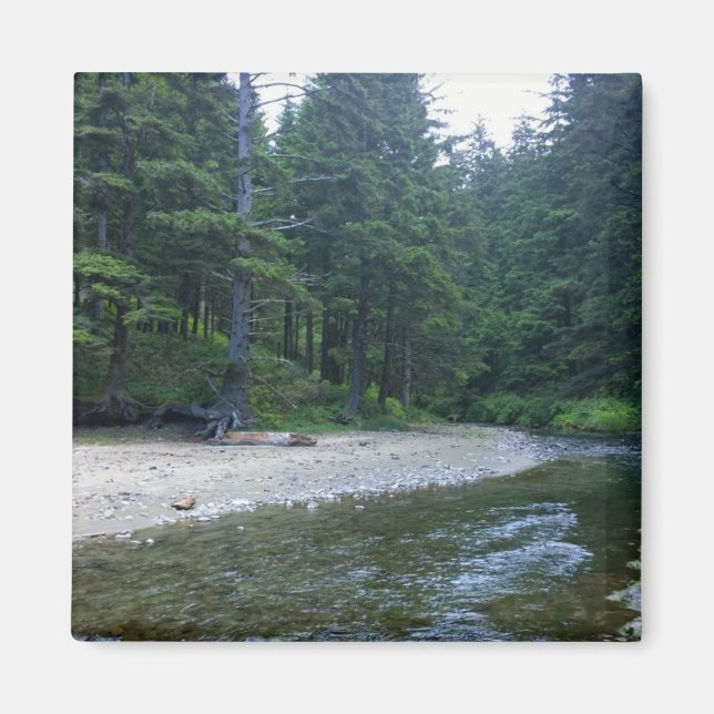 Imã Cummins Creek no Parque Estadual de Netuno, OR (Frente)