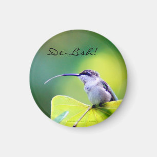 Imã Cumprimentos ao cozinheiro chefe!