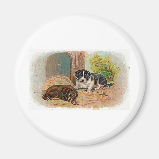 Imã Cuppies (Frente)