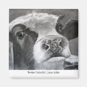 Imã Curiosidade Bovina