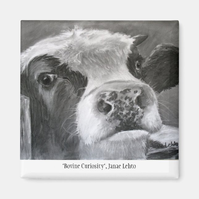 Imã Curiosidade Bovina (Frente)